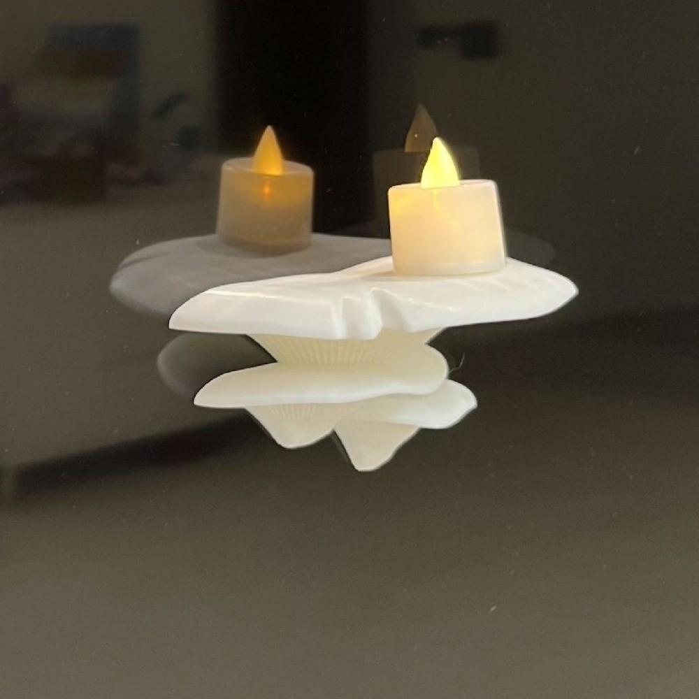 Estante para Hongos Pequeño Im - Office Furniture And Desks reseña y precio